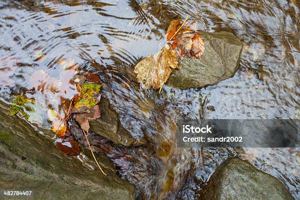 Fiume Di Montagna Con Pietre E Cielo In Carpathian - Fotografie stock e altre immagini di Acqua - Acqua, Autunno, Bagnato