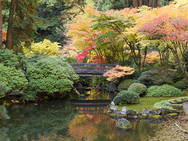 Autumn Colors with Pond Footbridge Japanese Garden Portland Oregon stock photo
