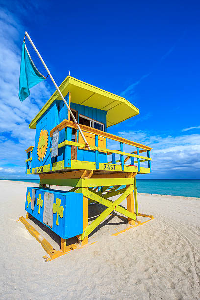 istock Famous lifeguard house 482784947