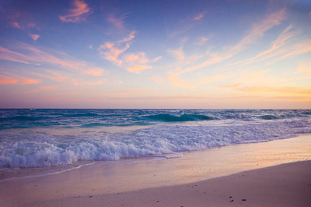 istock Beautiful sunset over the ocean 482785374