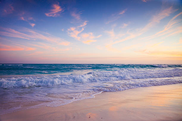 istock Beautiful sunset over the ocean 482785376
