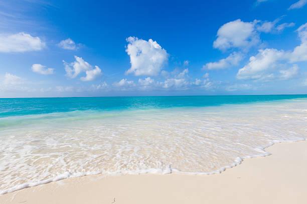istock beautiful beach in Cayo Largo del Sur, Cuba 482785388