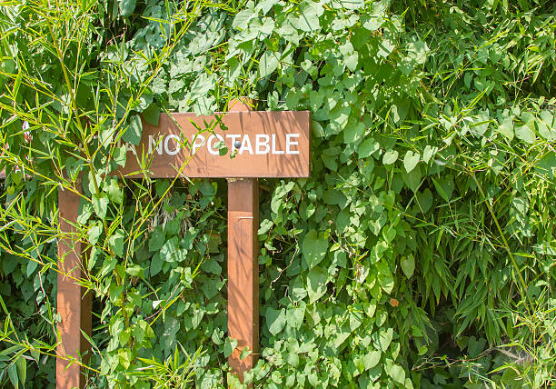 istock Wooden signposts indicating NO DRINKING WATER in Spanish 482786029