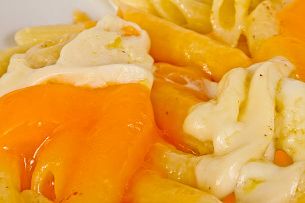 istock Penne pasta with parmesan, dor blue, chamamber and mozzarella 482786101