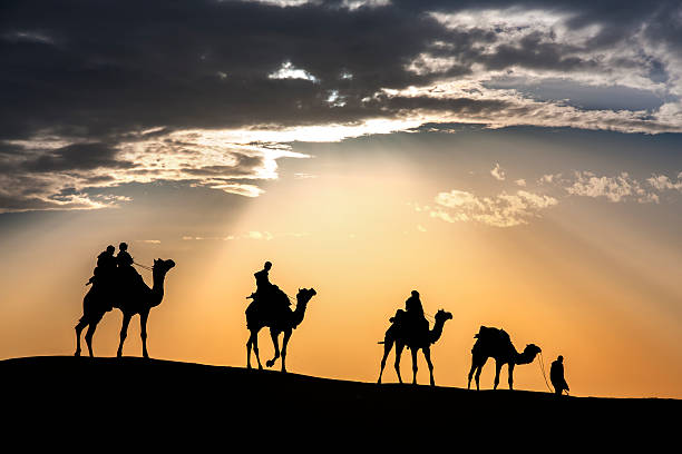 camminare con cammelli attraverso il deserto di thar - india travel journey camel foto e immagini stock