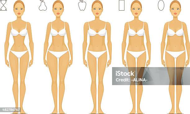 Tipos De Corpo Feminino - Arte vetorial de stock e mais imagens de Mulheres - Mulheres, Corpo humano, Forma