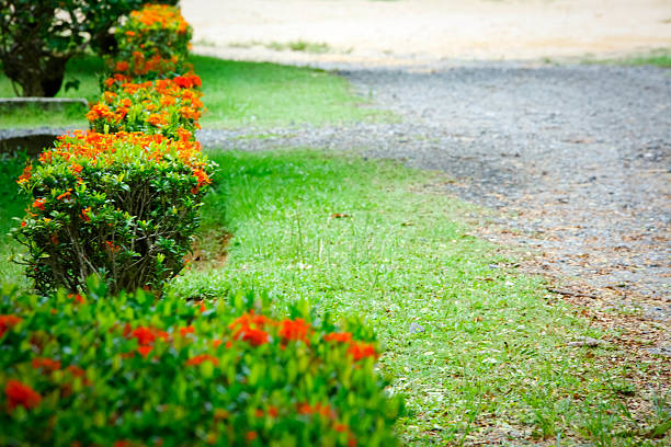 istock Garden stone path with grass growing up and flower 482787488