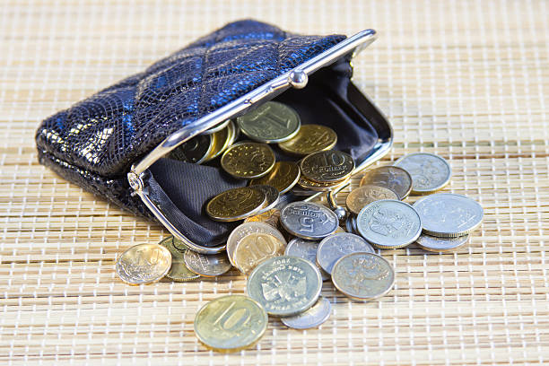 istock Russian coins in your purse 482787835