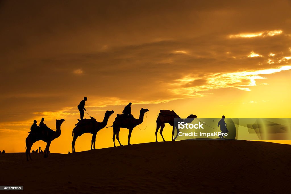 Caminhada com camelo pelo deserto de Thar - Foto de stock de Adulto royalty-free