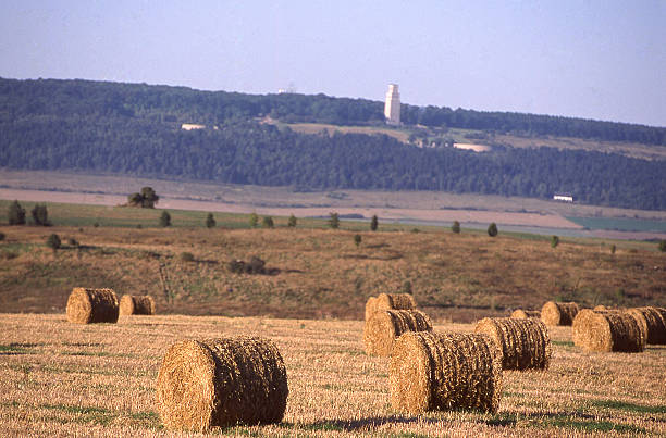 Mahnmal Holocaust Memorial fields Baled Hay near Weimar Germany