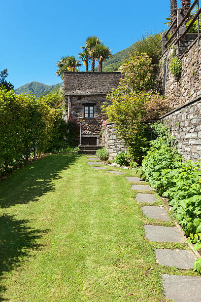 istock green garden with hedges 482798790