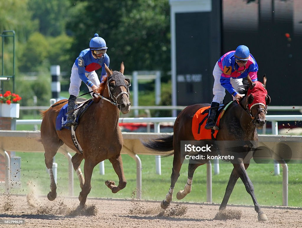 The Finish The finish of a horse race. Jockey Stock Photo