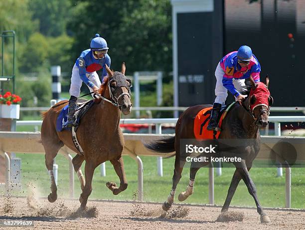 The Finish Stock Photo - Download Image Now - Jockey, Horse Racing, Horse