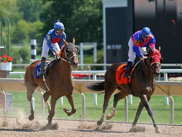 The finish of a horse race.