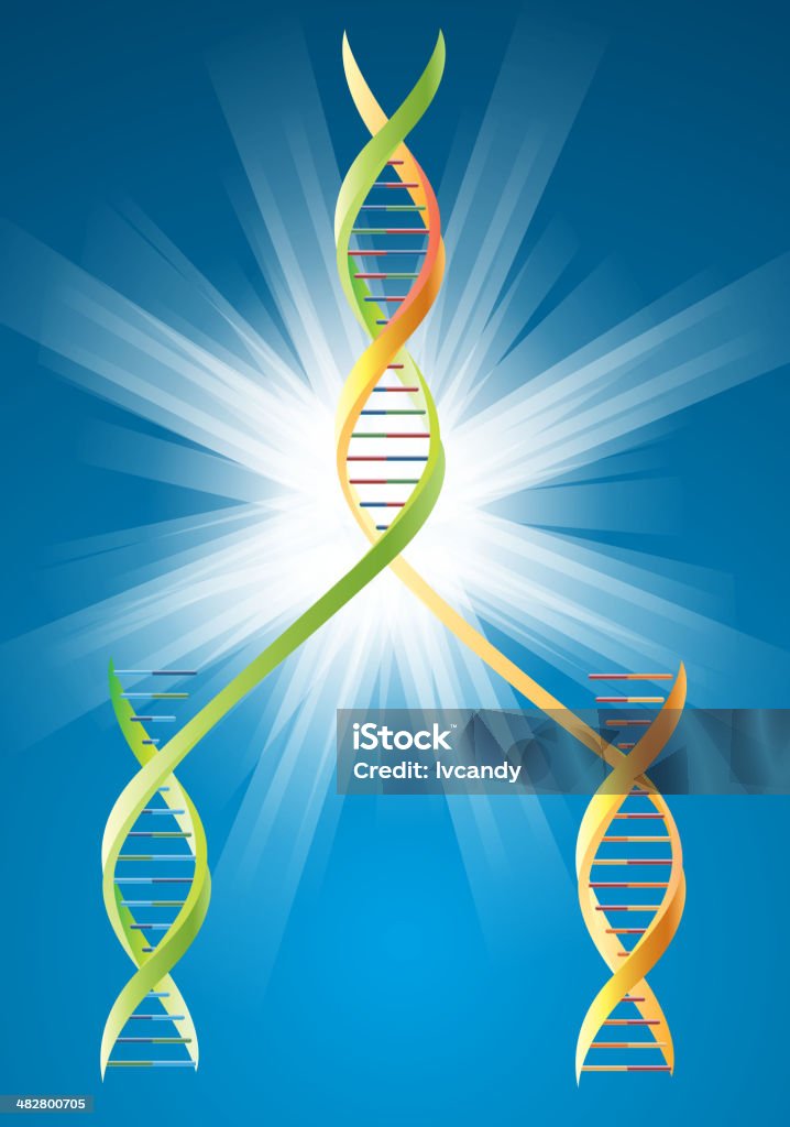 Duplicazione del DNA - arte vettoriale royalty-free di DNA
