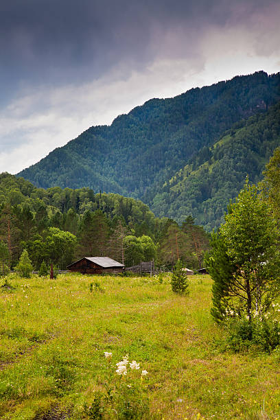 istock Summer forest with mountain and small cabin 482801159