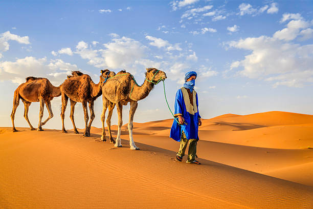giovane tuareg con cammelli nel deserto del sahara occidentale dell'africa - morocco desert camel africa foto e immagini stock