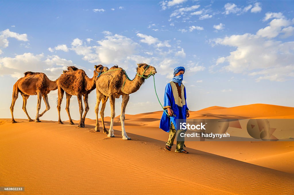 Young Tuareg with camels on Western Sahara Desert in Africa Tuareg with camels on the western part of The Sahara Desert in Morocco. The Sahara Desert is the world's largest hot desert. Morocco Stock Photo