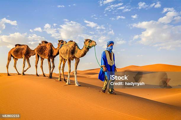 Young Tuareg With Camels On Western Sahara Desert In Africa Stock Photo - Download Image Now
