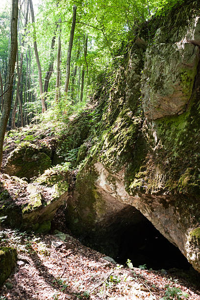 istock Sun shines on the cave entrance 482802932