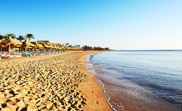istock Beach at the luxury hotel, Sharm el Sheikh, Egypt 482802935