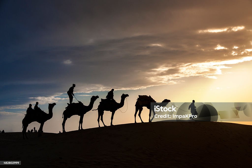 Andar com Camelos através do deserto de Thar - Royalty-free Adulto Foto de stock