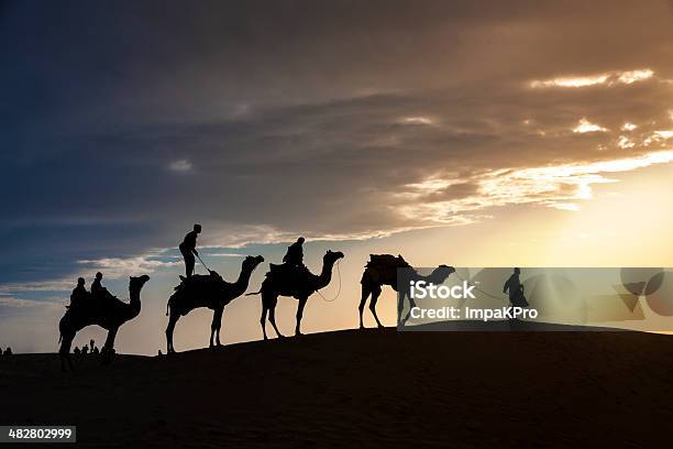 Andar Com Camelos Através Do Deserto De Thar - Fotografias de stock e mais imagens de Adulto - Adulto, Amanhecer, Andar