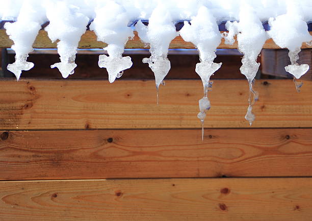 istock Melting show and icicle with pinewood background 482803593