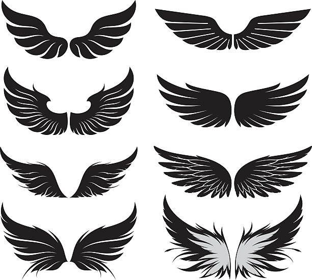 wings-set - bird wings stock-grafiken, -clipart, -cartoons und -symbole