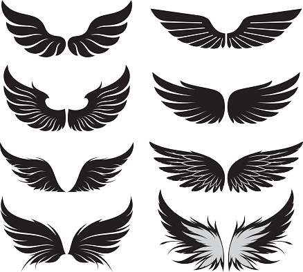 Set of wings. Vector illustration.