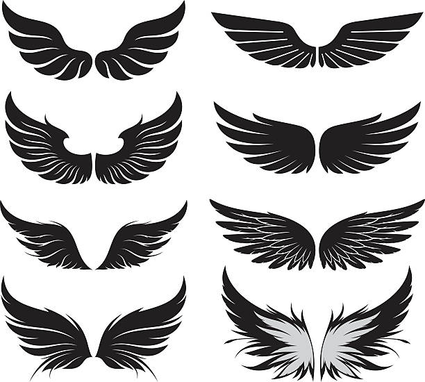 Wings set Set of wings. Vector illustration. tattoo silhouettes stock illustrations
