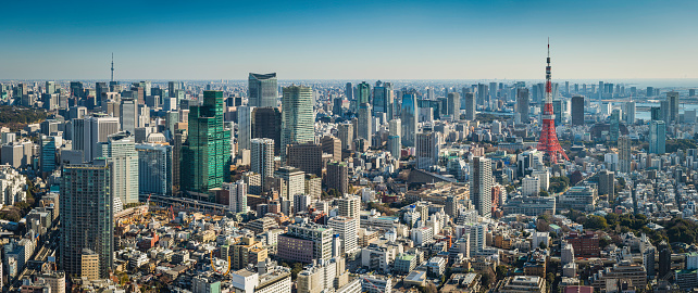 Aerial panoramic view across the skyscrapers and landmarks of downtown Tokyo, from the distant soaring spire of the Skytree, across the crowded cityscape of Ginza, Shimbashi and Minato to the iconic red lattice of Tokyo Tower, Japan. ProPhoto RGB profile for maximum color fidelity and gamut.