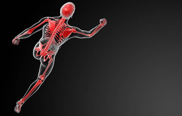running Skelett von Röntgenapparate in Rot – Foto