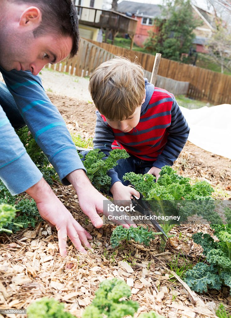 Padre e figlio mentre giardinaggio - Foto stock royalty-free di Adulto