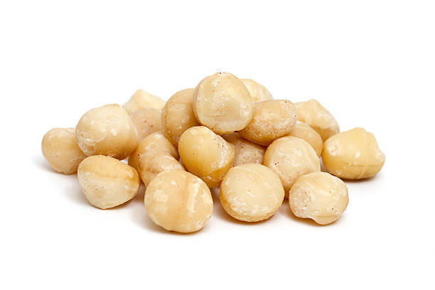 macadamia nuts stock photo