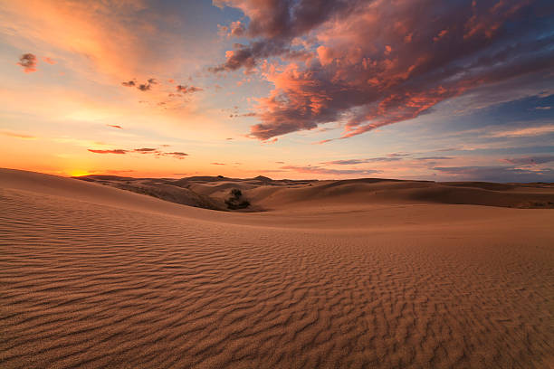 istock Beautiful views of the Gobi desert. Mongolia. 482809474