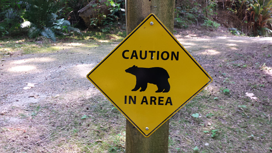 Bear Awarenes sign on a hiking path