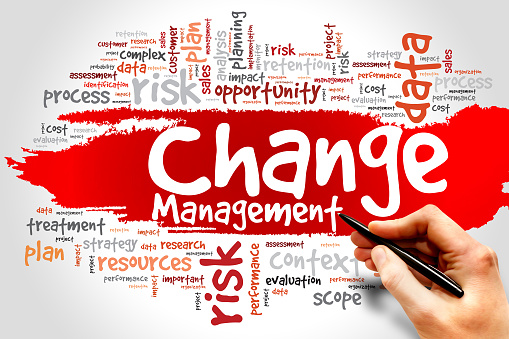 Change Management word cloud, business concept