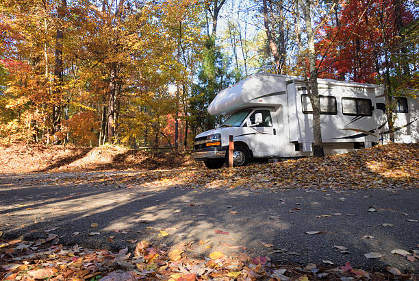 istock Motorhome in campsite 482819490