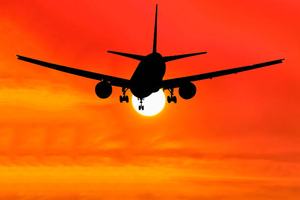 istock Silhouetted commercial airplane flying at sunset 482823400