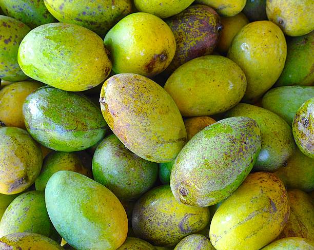 The close view of mango in Taiwan