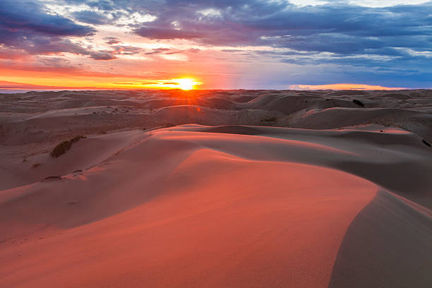 istock Amazing pink sunset in the Gobi Desert. Mongolia. 482828758