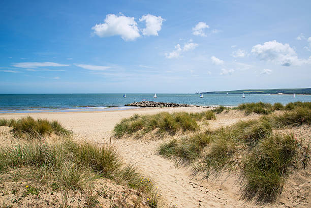adorable sand dunes y playa en día soleado de verano hermoso paisaje - poole fotografías e imágenes de stock