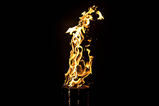 istock Image of glowing log, flame by night 482831370