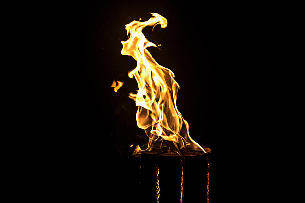 istock Photo of fire and log 482831890