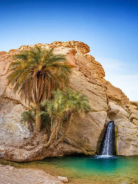 Mountain oasis with palms and waterfall in Chebika (Kairouan Governorate) , desert Tunisia .