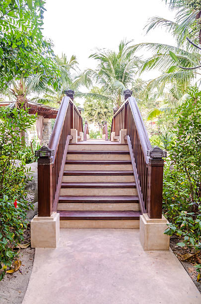 istock Wooden bridge in tropical garden 482833637