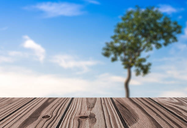 istock Wooden Floor with Blue Sky and Tree Background 482833870