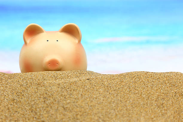 istock Summer piggy bank on the beach 482835179