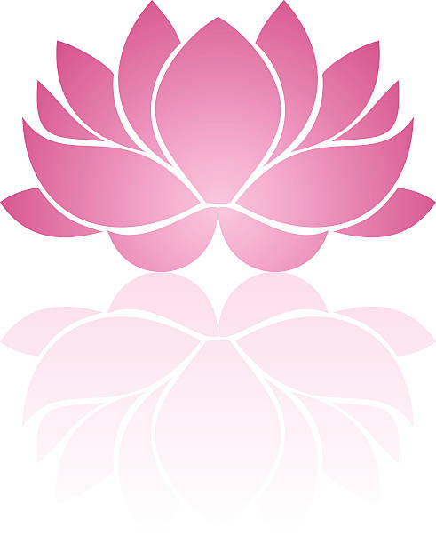 ilustraciones, imágenes clip art, dibujos animados e iconos de stock de rosa lotus. eps 10, ilustración vectorial. - silhouette beautiful flower head close up